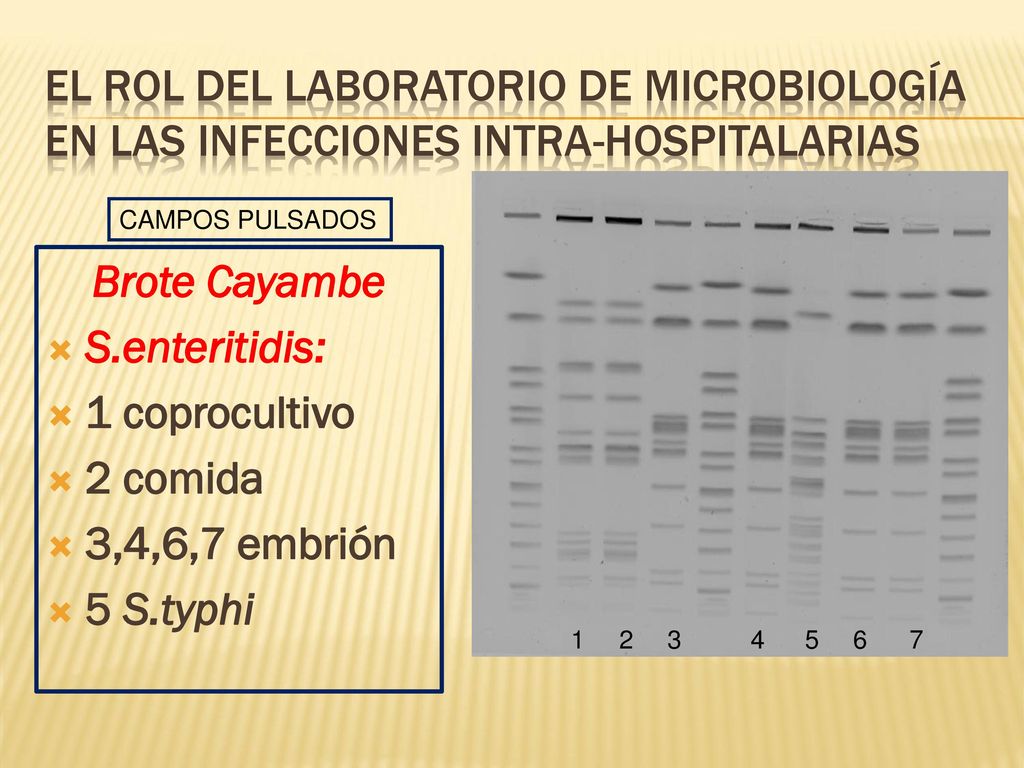 EL ROL DEL LABORATORIO DE MICROBIOLOGÍA en las infecciones intra-hospitalarias