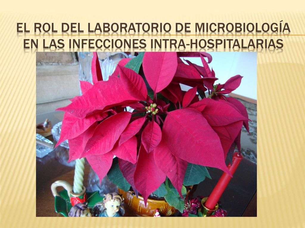 EL ROL DEL LABORATORIO DE MICROBIOLOGÍA en las infecciones intra-hospitalarias