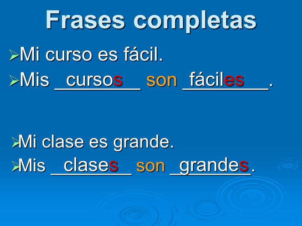 Frases completas Mi curso es fácil. Mis ________ son ________. cursos
