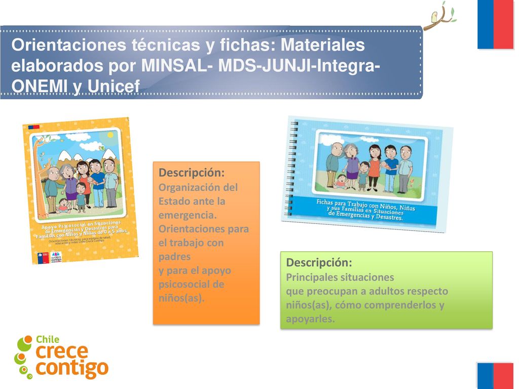 Orientaciones técnicas y fichas: Materiales elaborados por MINSAL- MDS-JUNJI-Integra- ONEMI y Unicef