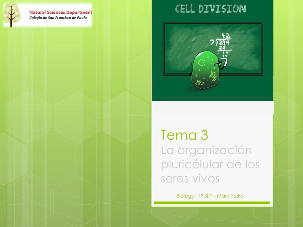 Tema 3 La organización pluricélular de los seres vivos