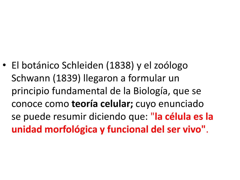 El botánico Schleiden (1838) y el zoólogo Schwann (1839) llegaron a formular un principio fundamental de la Biología, que se conoce como teoría celular; cuyo enunciado se puede resumir diciendo que: la célula es la unidad morfológica y funcional del ser vivo .