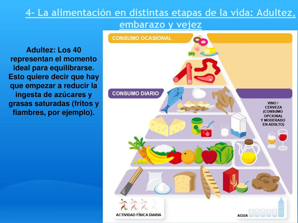 4- La alimentación en distintas etapas de la vida: Adultez, embarazo y vejez