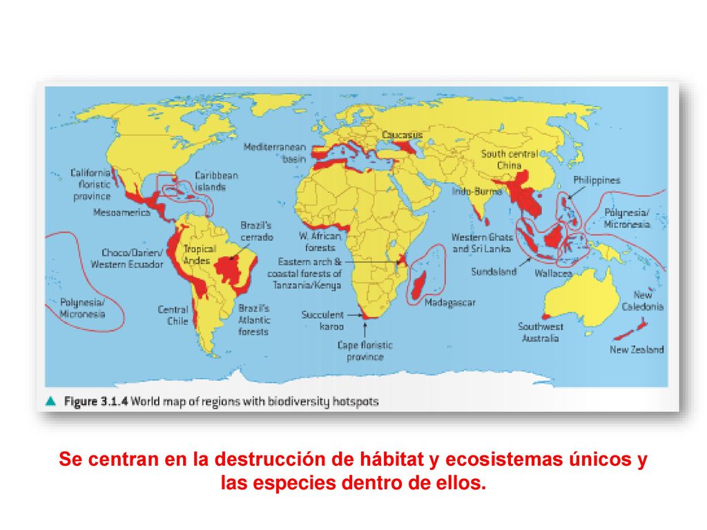 Se centran en la destrucción de hábitat y ecosistemas únicos y las especies dentro de ellos.