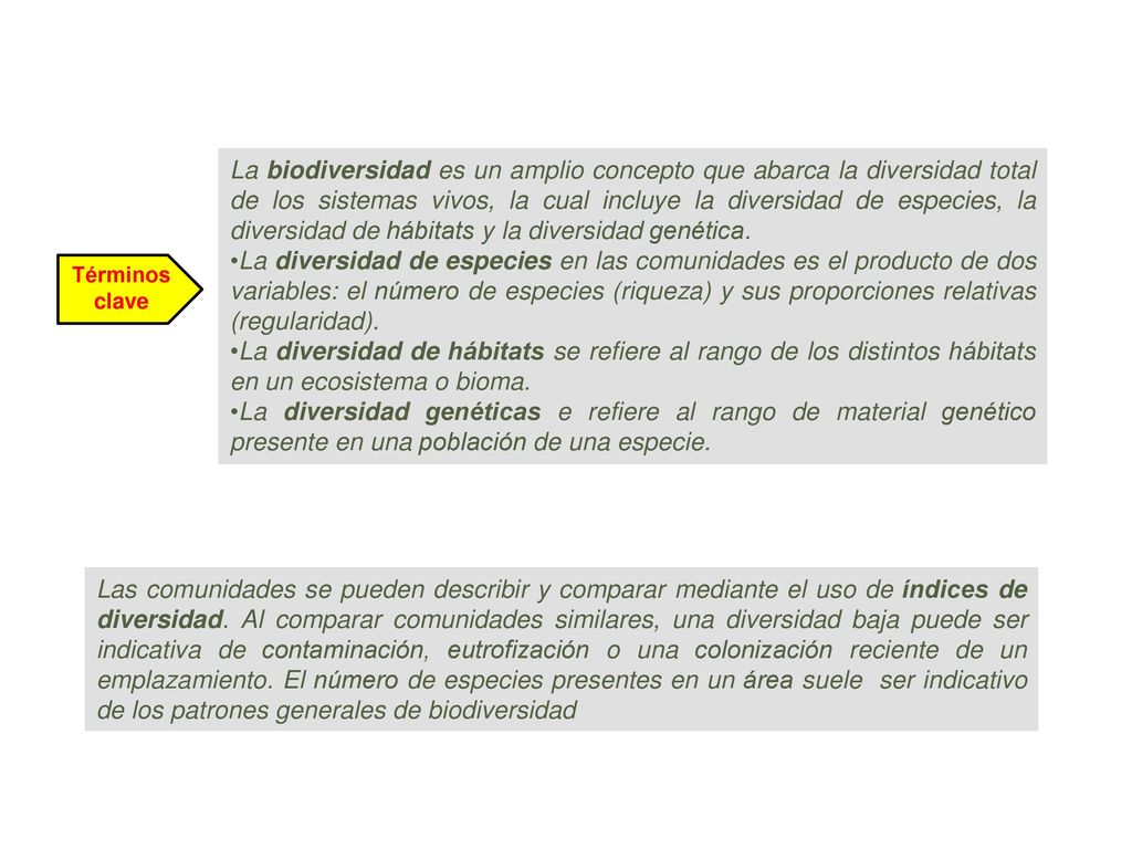 La biodiversidad es un amplio concepto que abarca la diversidad total de los sistemas vivos, la cual incluye la diversidad de especies, la diversidad de hábitats y la diversidad genética.