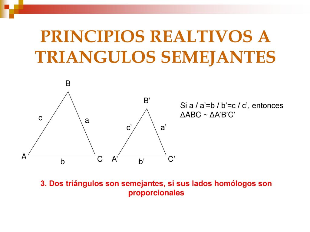 PRINCIPIOS REALTIVOS A TRIANGULOS SEMEJANTES