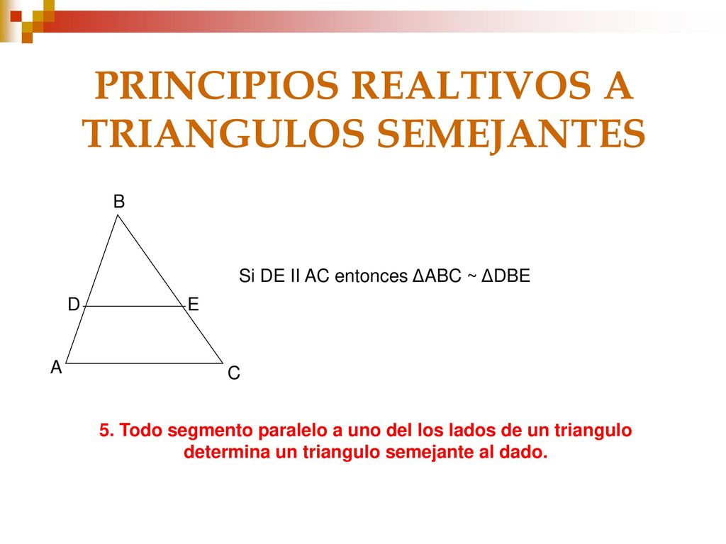 PRINCIPIOS REALTIVOS A TRIANGULOS SEMEJANTES