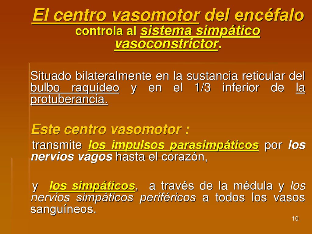 El centro vasomotor del encéfalo controla al sistema simpático vasoconstrictor.