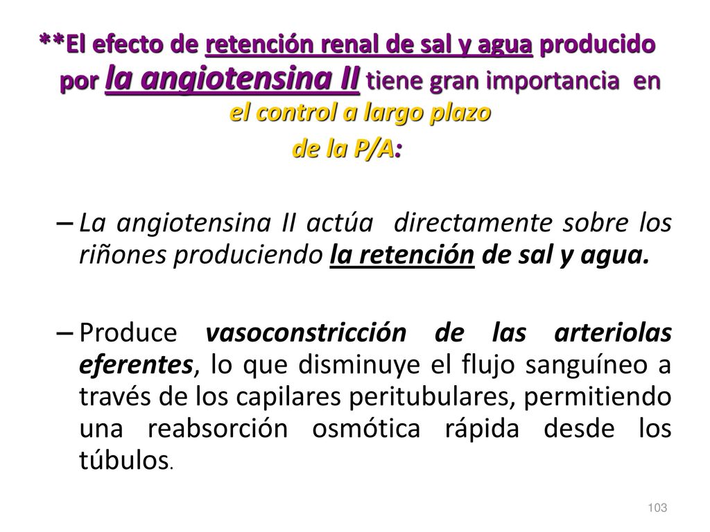 **El efecto de retención renal de sal y agua producido por la angiotensina II tiene gran importancia en el control a largo plazo