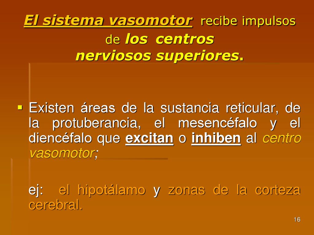 El sistema vasomotor recibe impulsos de los centros nerviosos superiores.
