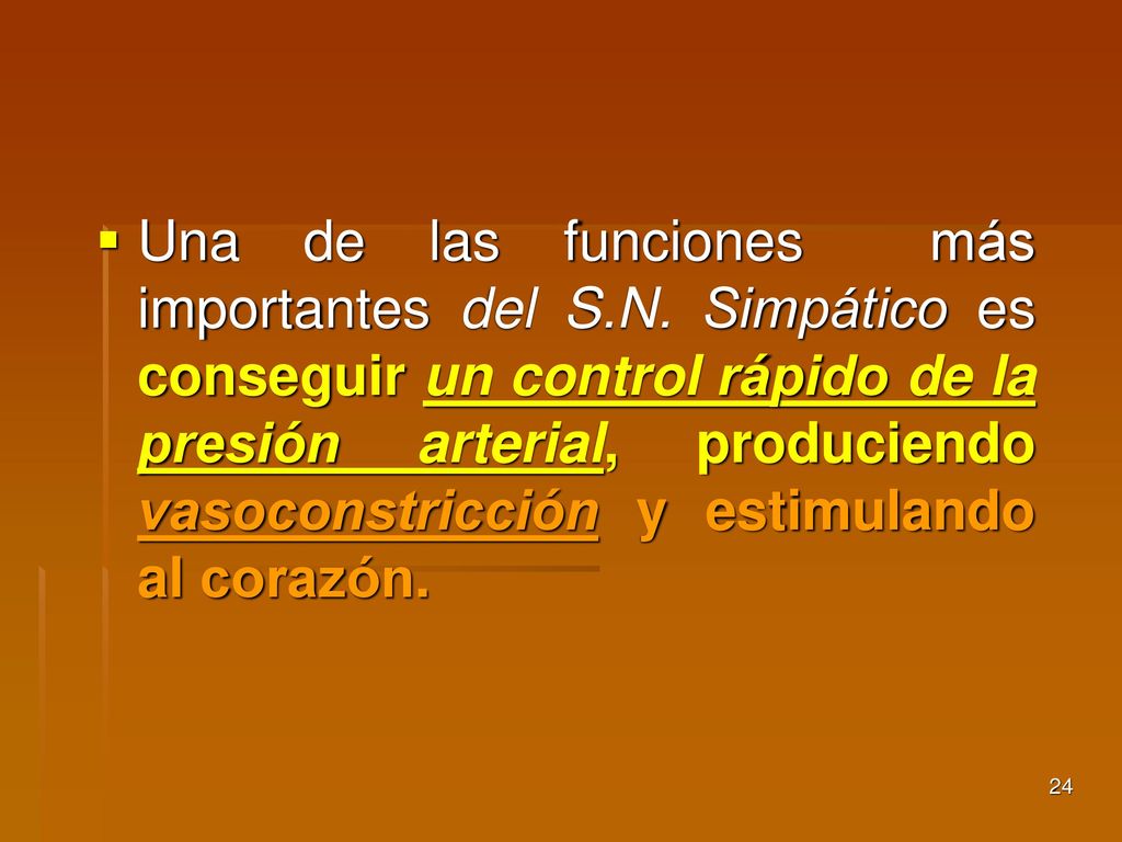 Una de las funciones más importantes del S. N