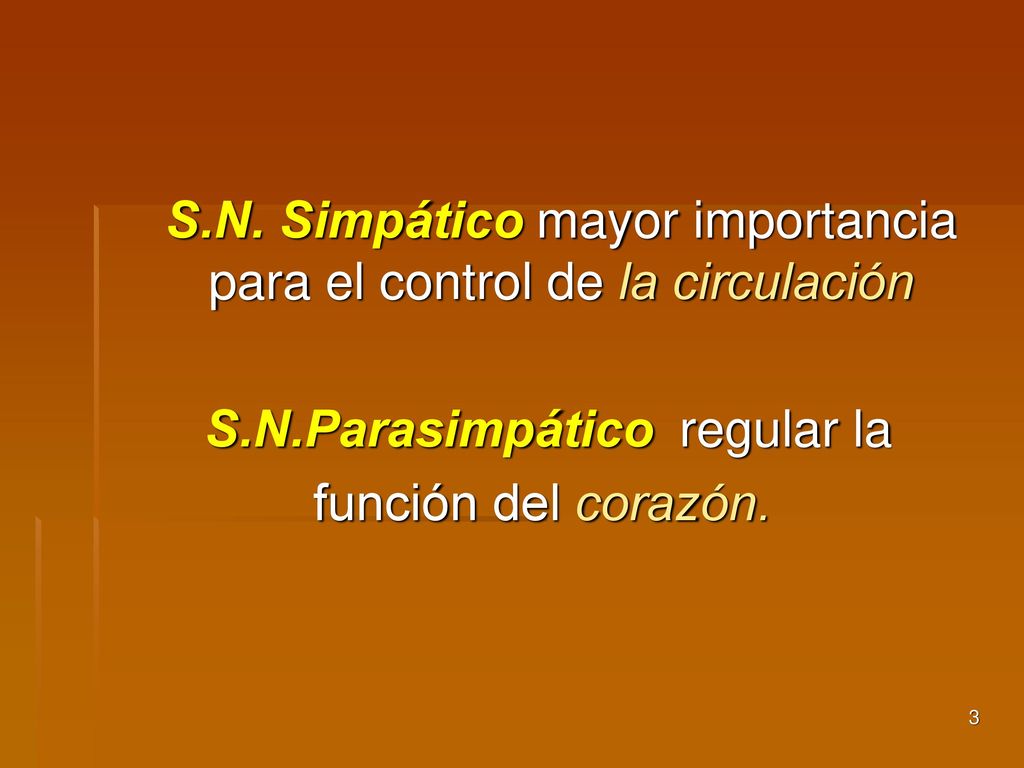 S.N. Simpático mayor importancia para el control de la circulación