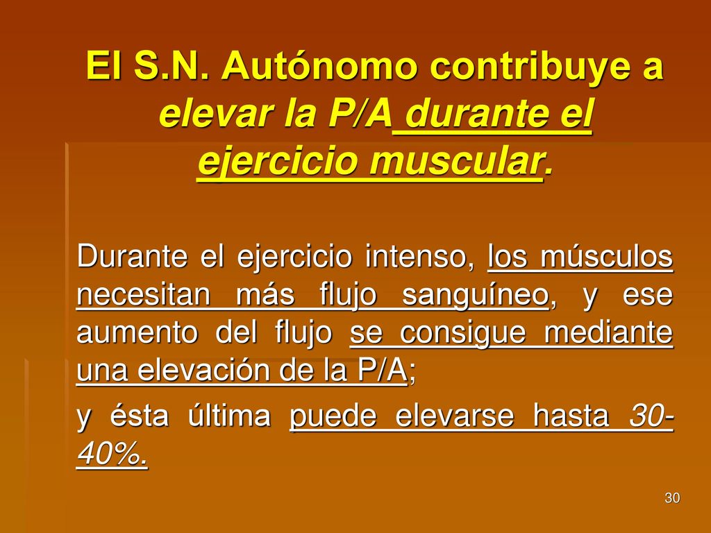 El S.N. Autónomo contribuye a elevar la P/A durante el ejercicio muscular.