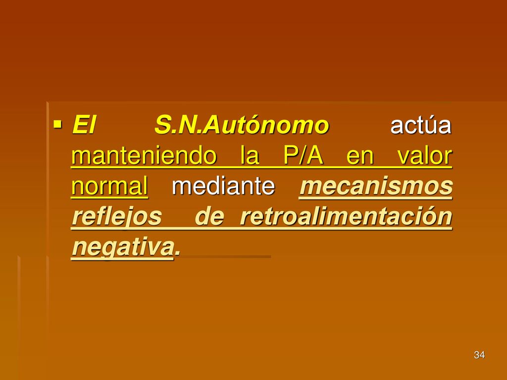 El S.N.Autónomo actúa manteniendo la P/A en valor normal mediante mecanismos reflejos de retroalimentación negativa.