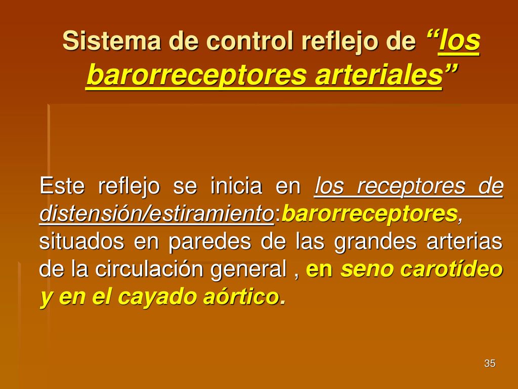 Sistema de control reflejo de los barorreceptores arteriales