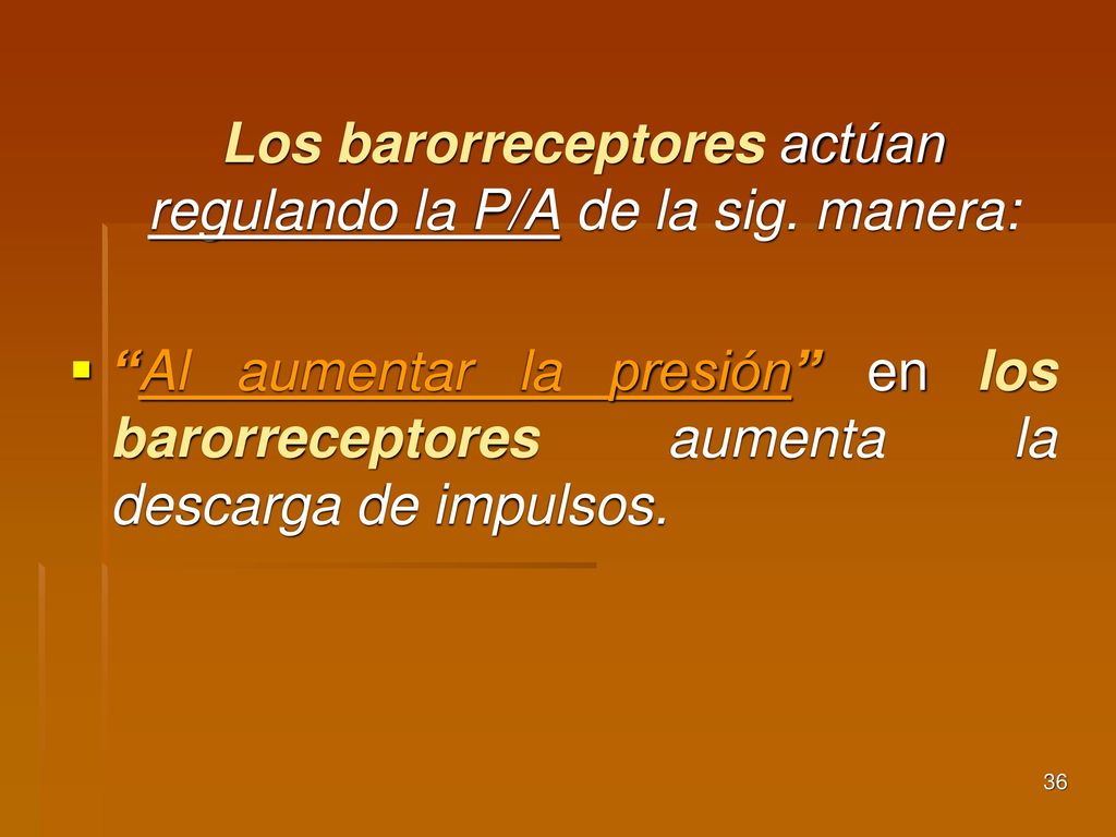 Los barorreceptores actúan regulando la P/A de la sig. manera: