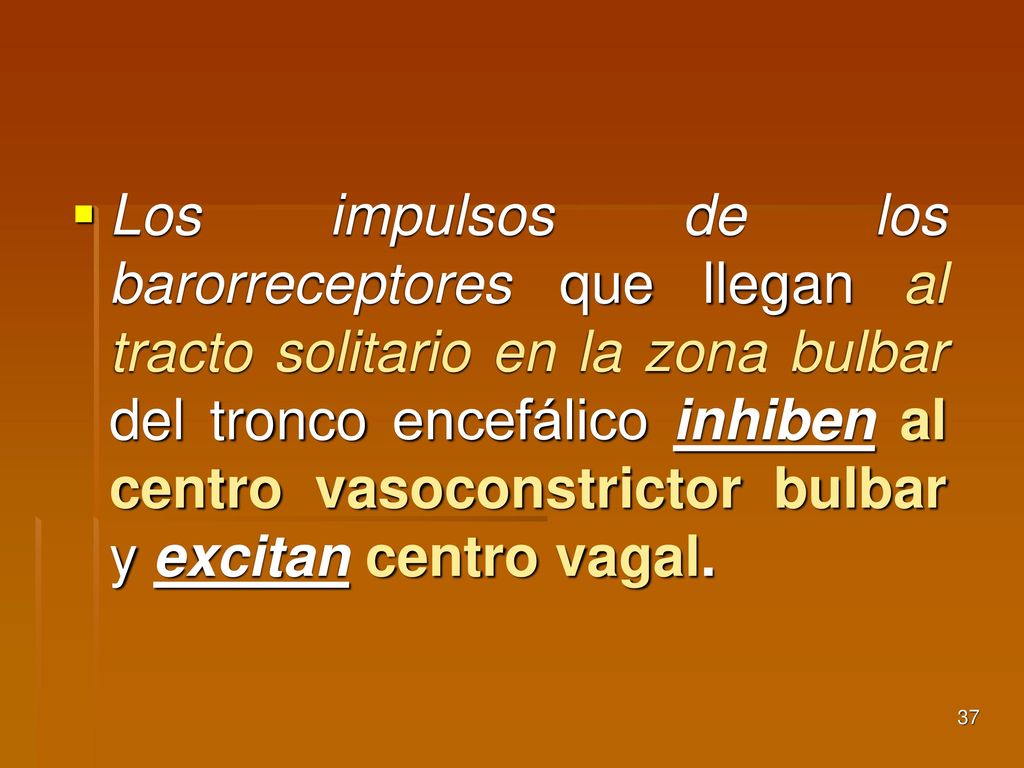 Los impulsos de los barorreceptores que llegan al tracto solitario en la zona bulbar del tronco encefálico inhiben al centro vasoconstrictor bulbar y excitan centro vagal.