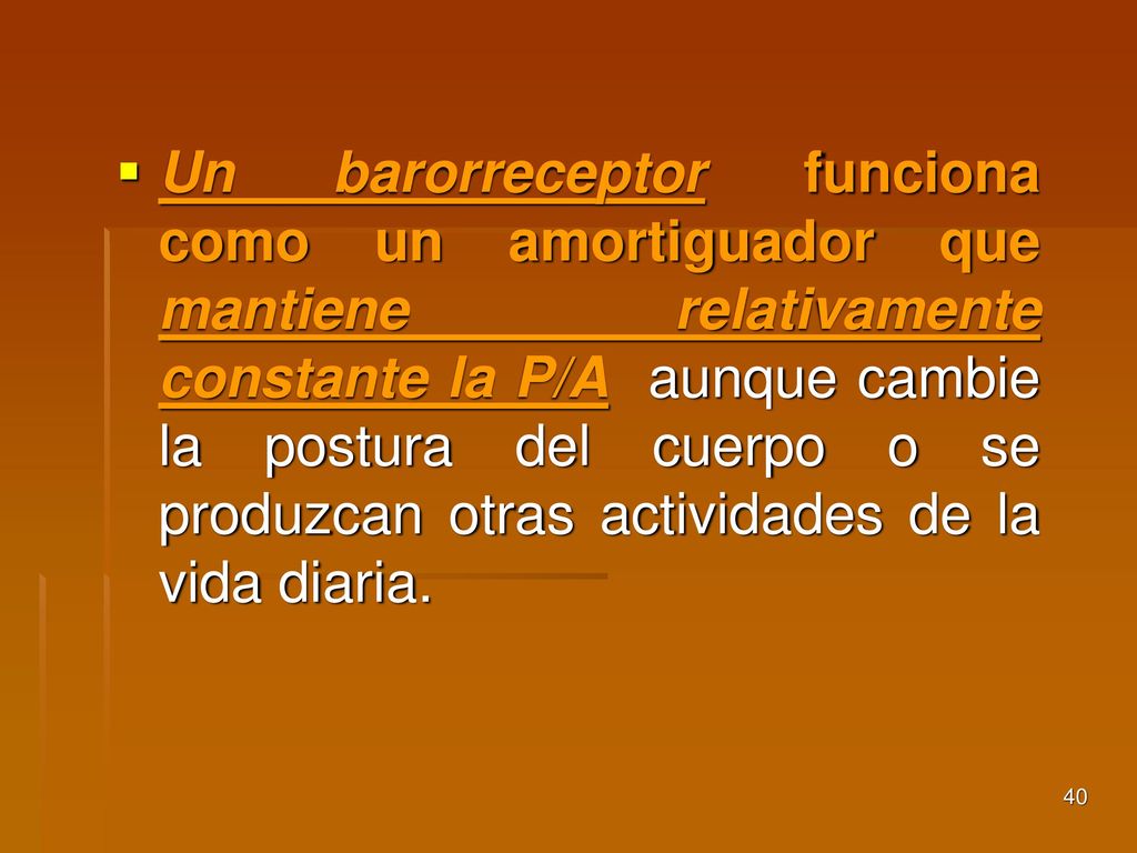 Un barorreceptor funciona como un amortiguador que mantiene relativamente constante la P/A aunque cambie la postura del cuerpo o se produzcan otras actividades de la vida diaria.