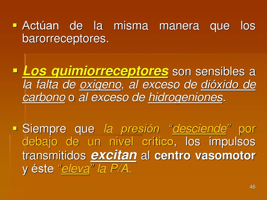 Actúan de la misma manera que los barorreceptores.