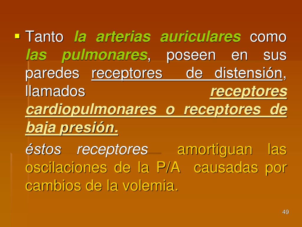 Tanto la arterias auriculares como las pulmonares, poseen en sus paredes receptores de distensión, llamados receptores cardiopulmonares o receptores de baja presión.