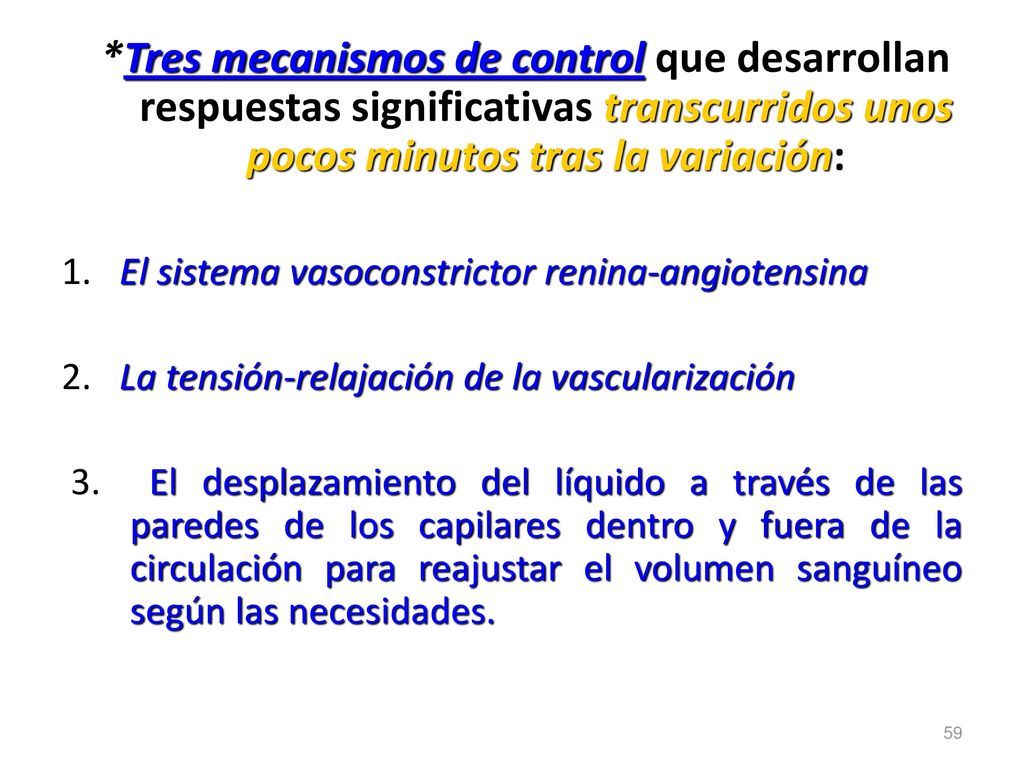 *Tres mecanismos de control que desarrollan respuestas significativas transcurridos unos pocos minutos tras la variación: