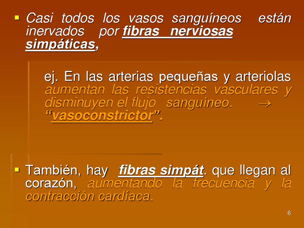 Casi todos los vasos sanguíneos están inervados por fibras
