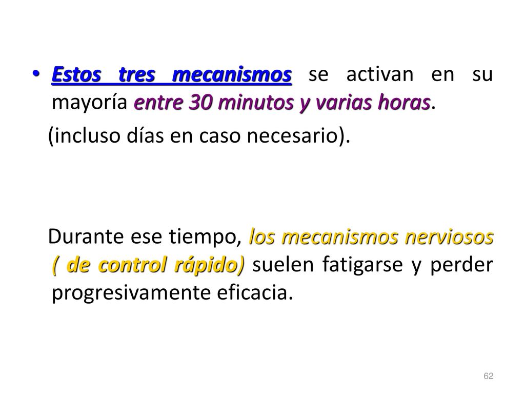 Estos tres mecanismos se activan en su mayoría entre 30 minutos y varias horas.