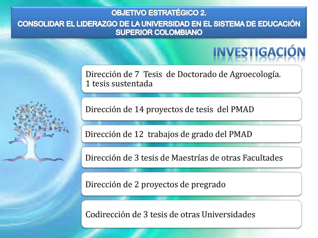 OBJETIVO ESTRATÉGICO 2. CONSOLIDAR EL LIDERAZGO DE LA UNIVERSIDAD EN EL SISTEMA DE EDUCACIÓN SUPERIOR COLOMBIANO.