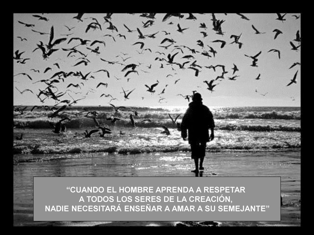 CUANDO EL HOMBRE APRENDA A RESPETAR A TODOS LOS SERES DE LA CREACIÓN,