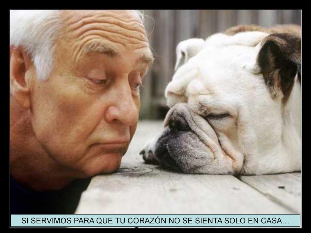 SI SERVIMOS PARA QUE TU CORAZÓN NO SE SIENTA SOLO EN CASA…