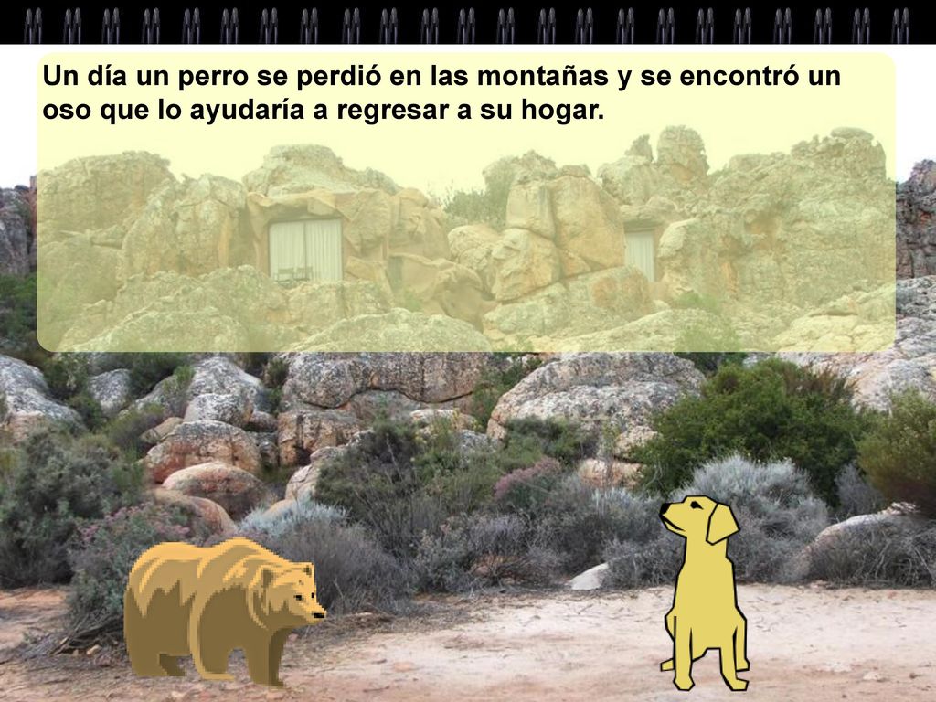 Un día un perro se perdió en las montañas y se encontró un oso que lo ayudaría a regresar a su hogar.