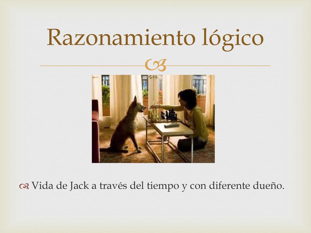 Razonamiento lógico Vida de Jack a través del tiempo y con diferente dueño.