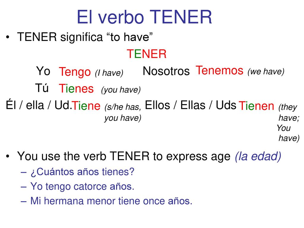 El verbo TENER TENER significa to have TENER Yo Nosotros Tú