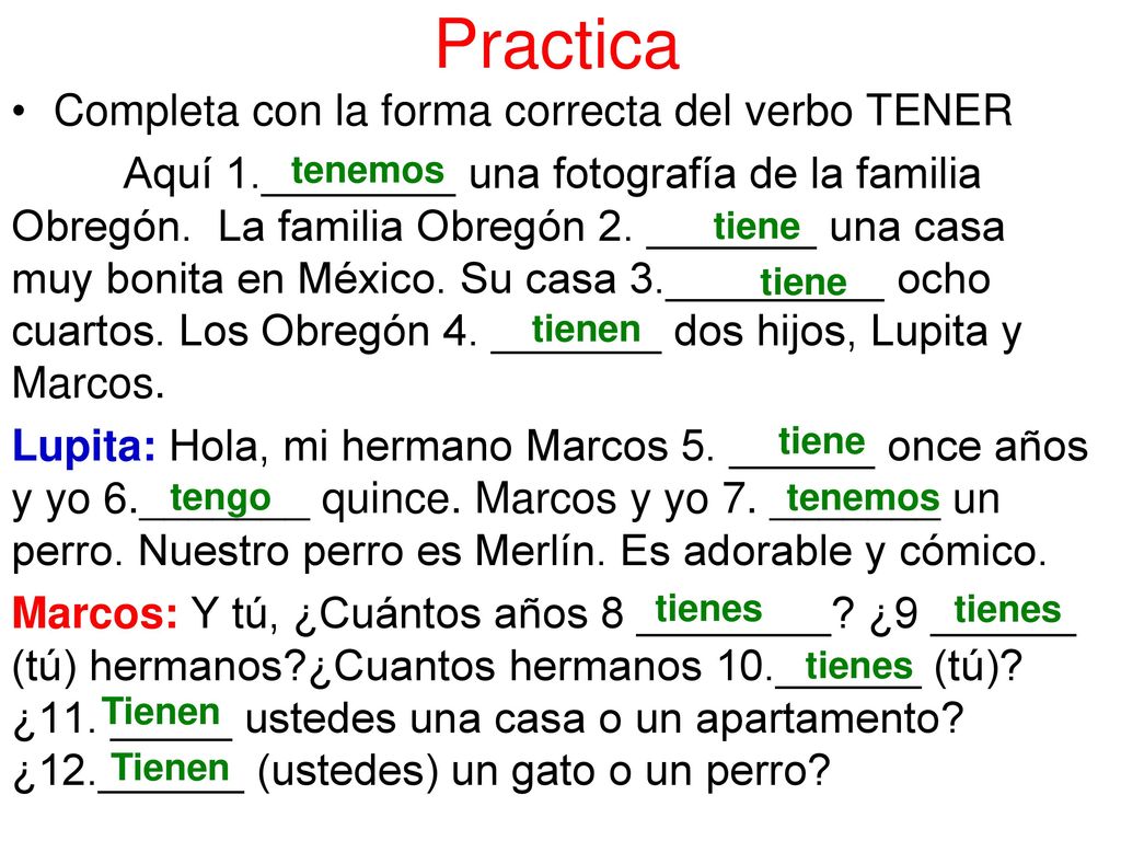 Practica Completa con la forma correcta del verbo TENER