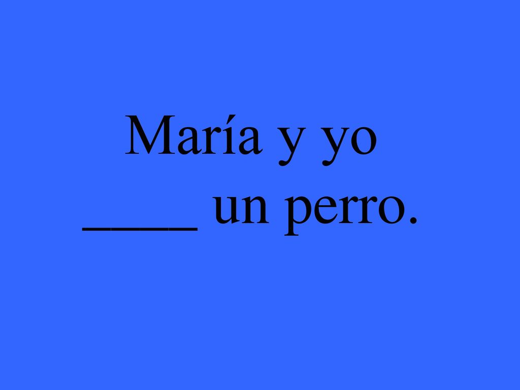 Eleanor M. Savko 11/25/2017 María y yo ____ un perro.