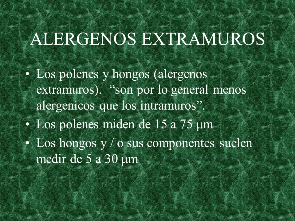 ALERGENOS EXTRAMUROS Los polenes y hongos (alergenos extramuros). son por lo general menos alergenicos que los intramuros .