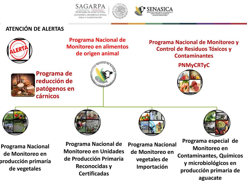 Programa Nacional de Monitoreo en alimentos de origen animal
