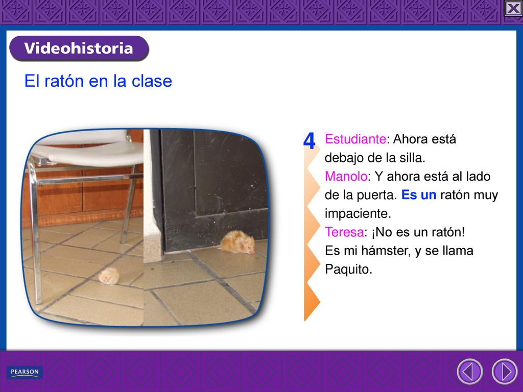 4 El ratón en la clase Estudiante: Ahora está debajo de la silla.