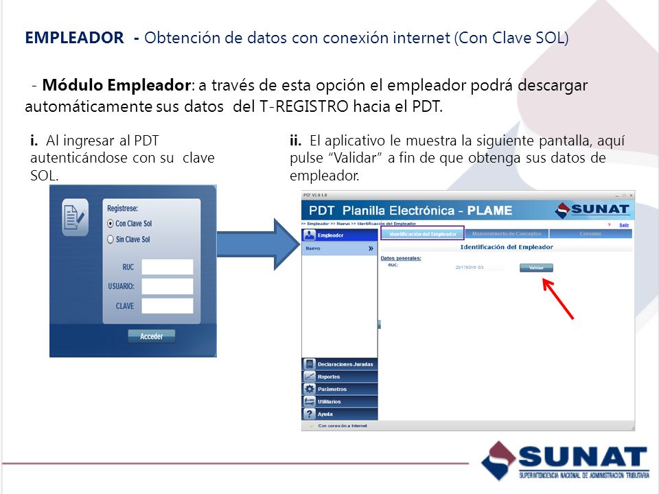 EMPLEADOR - Obtención de datos con conexión internet (Con Clave SOL)