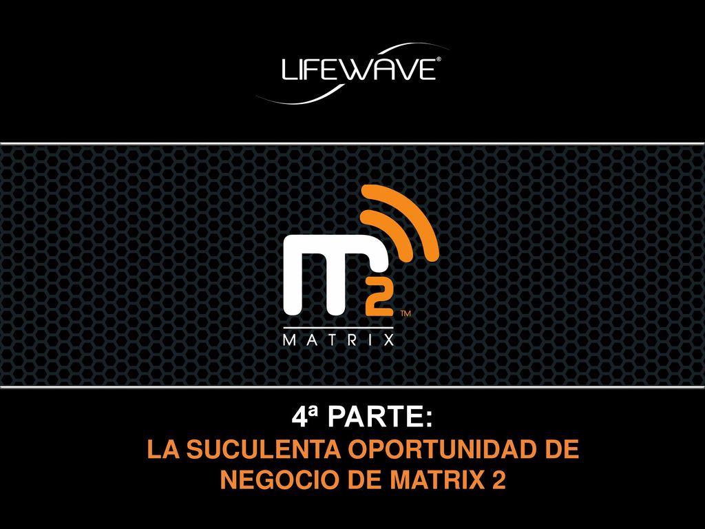 4ª PARTE: LA SUCULENTA OPORTUNIDAD DE NEGOCIO DE MATRIX 2