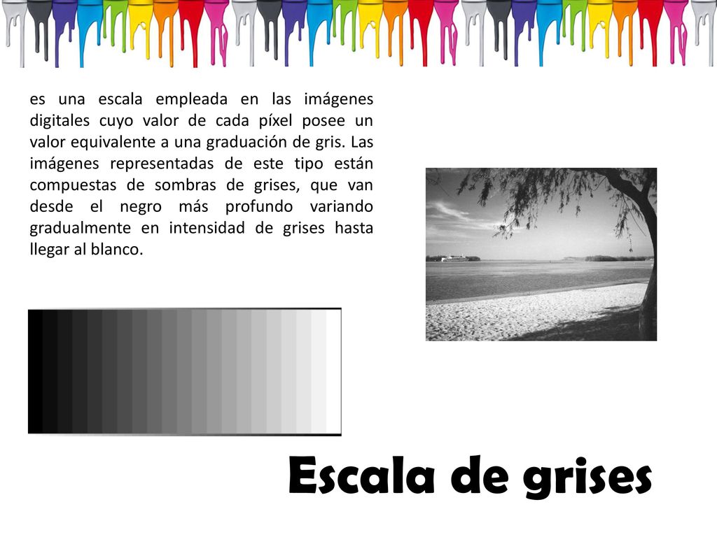 es una escala empleada en las imágenes digitales cuyo valor de cada píxel posee un valor equivalente a una graduación de gris. Las imágenes representadas de este tipo están compuestas de sombras de grises, que van desde el negro más profundo variando gradualmente en intensidad de grises hasta llegar al blanco.
