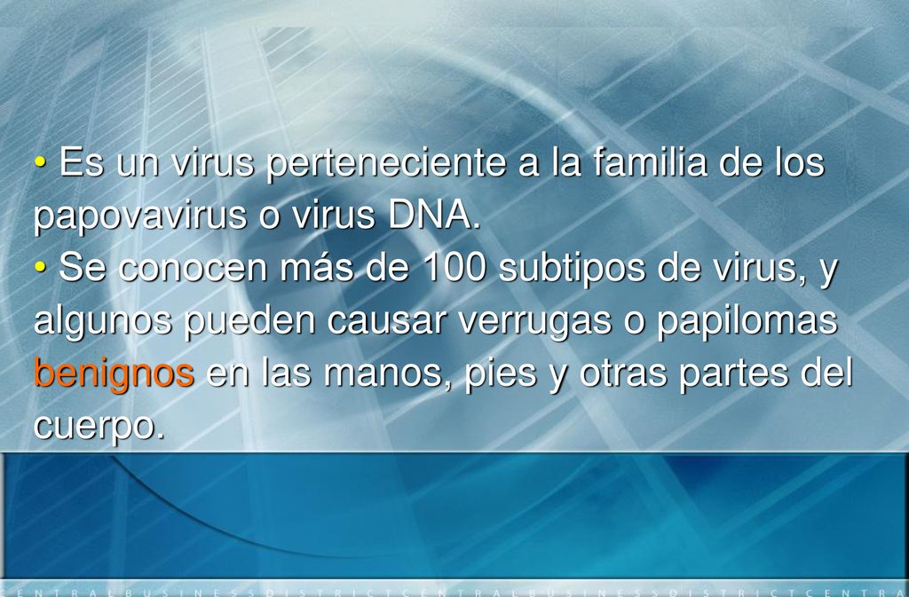 Es un virus perteneciente a la familia de los papovavirus o virus DNA.