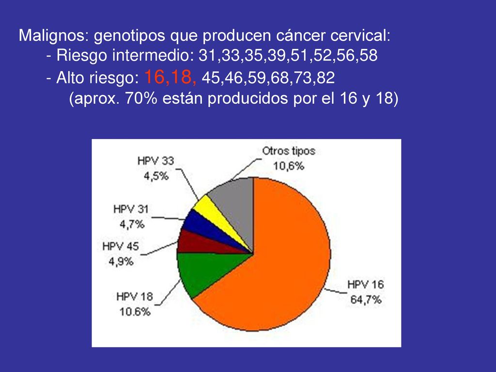 Malignos: genotipos que producen cáncer cervical: - Riesgo intermedio: 31,33,35,39,51,52,56,58 - Alto riesgo: 16,18, 45,46,59,68,73,82 (aprox.