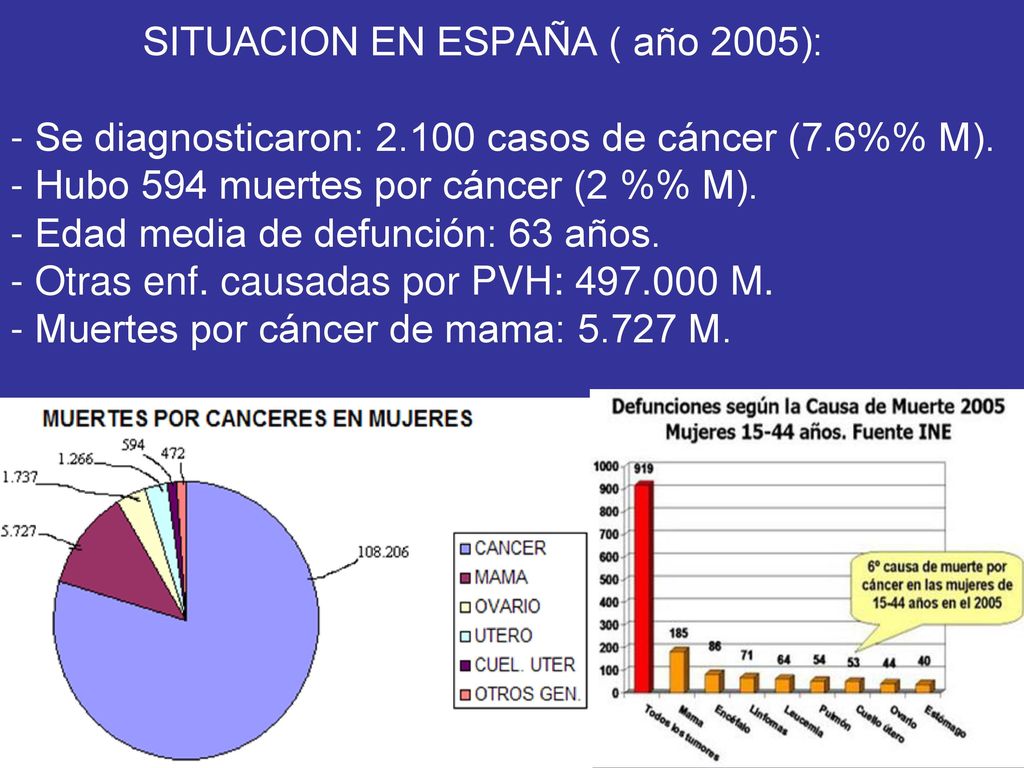 SITUACION EN ESPAÑA ( año 2005): - Se diagnosticaron: 2