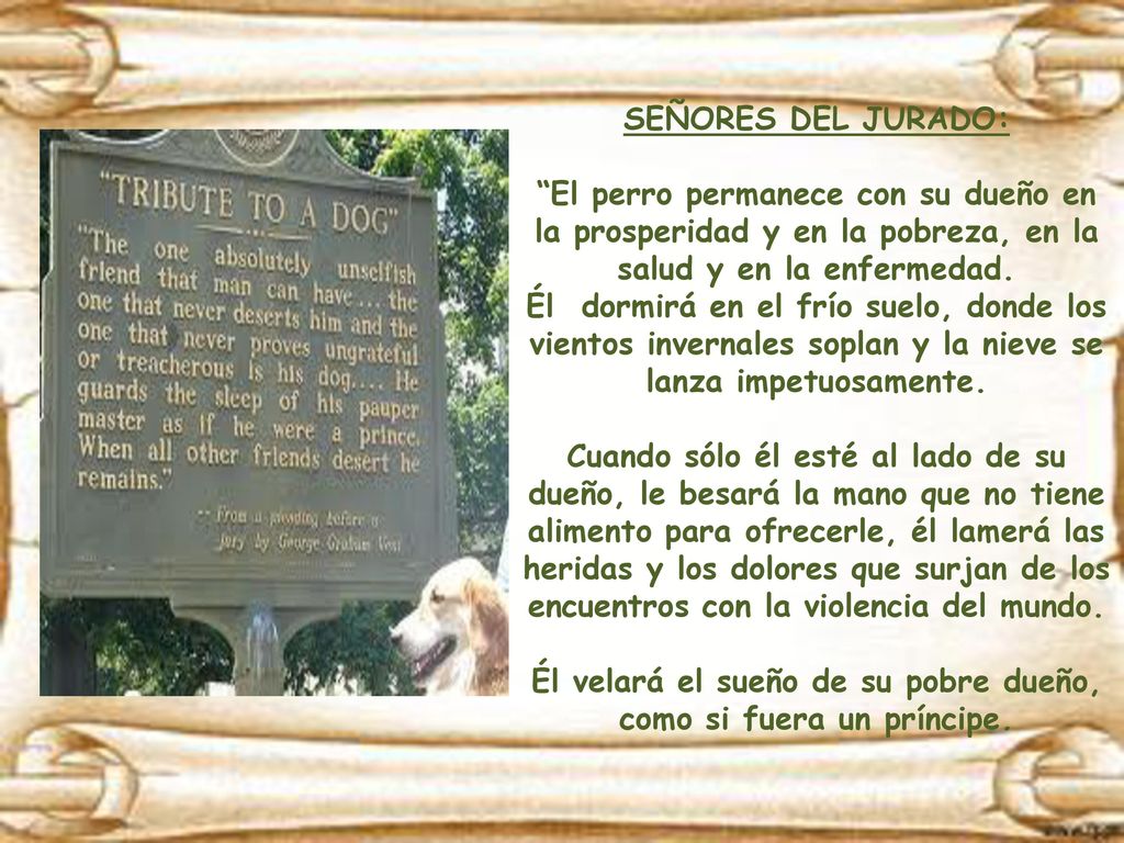 Él velará el sueño de su pobre dueño, como si fuera un príncipe.