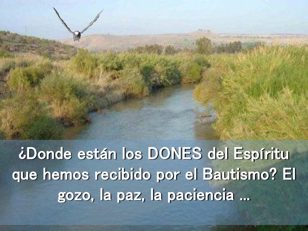 ¿Donde están los DONES del Espíritu que hemos recibido por el Bautismo