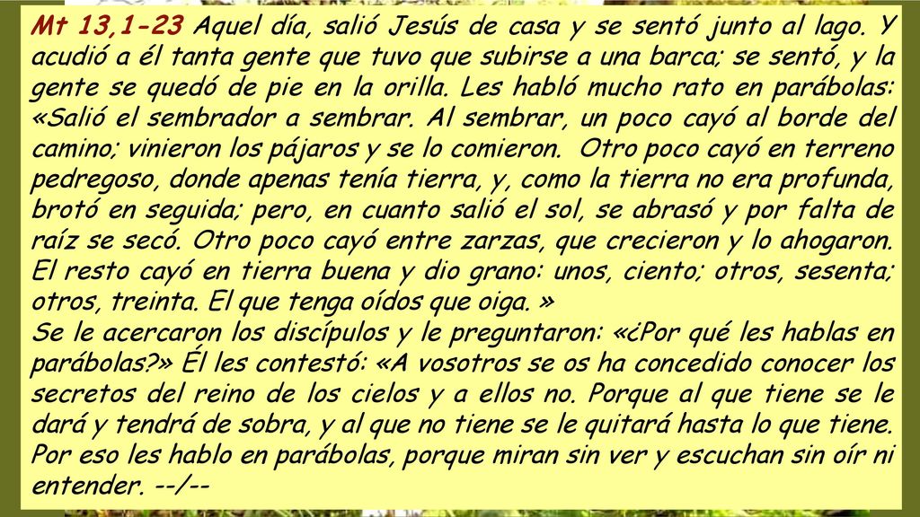 Mt 13,1-23 Aquel día, salió Jesús de casa y se sentó junto al lago