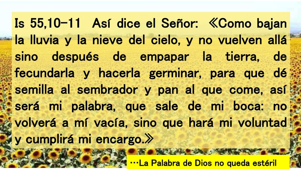 Is 55,10-11 Así dice el Señor: «Como bajan la lluvia y la nieve del cielo, y no vuelven allá sino después de empapar la tierra, de fecundarla y hacerla germinar, para que dé semilla al sembrador y pan al que come, así será mi palabra, que sale de mi boca: no volverá a mí vacía, sino que hará mi voluntad y cumplirá mi encargo.»