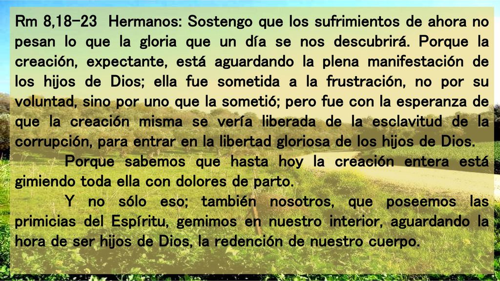 Rm 8,18-23 Hermanos: Sostengo que los sufrimientos de ahora no pesan lo que la gloria que un día se nos descubrirá. Porque la creación, expectante, está aguardando la plena manifestación de los hijos de Dios; ella fue sometida a la frustración, no por su voluntad, sino por uno que la sometió; pero fue con la esperanza de que la creación misma se vería liberada de la esclavitud de la corrupción, para entrar en la libertad gloriosa de los hijos de Dios.