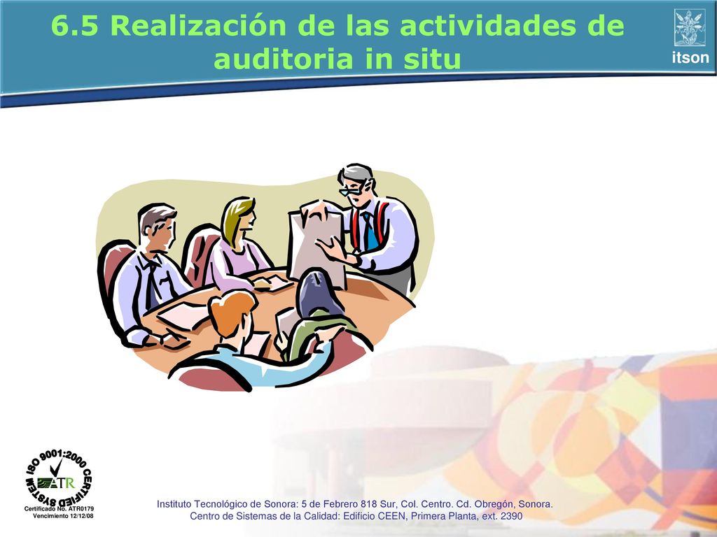 6.5 Realización de las actividades de auditoria in situ